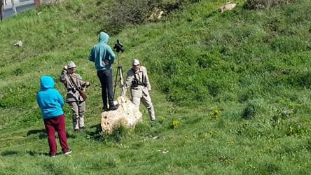 Sinema & TV Bölümü